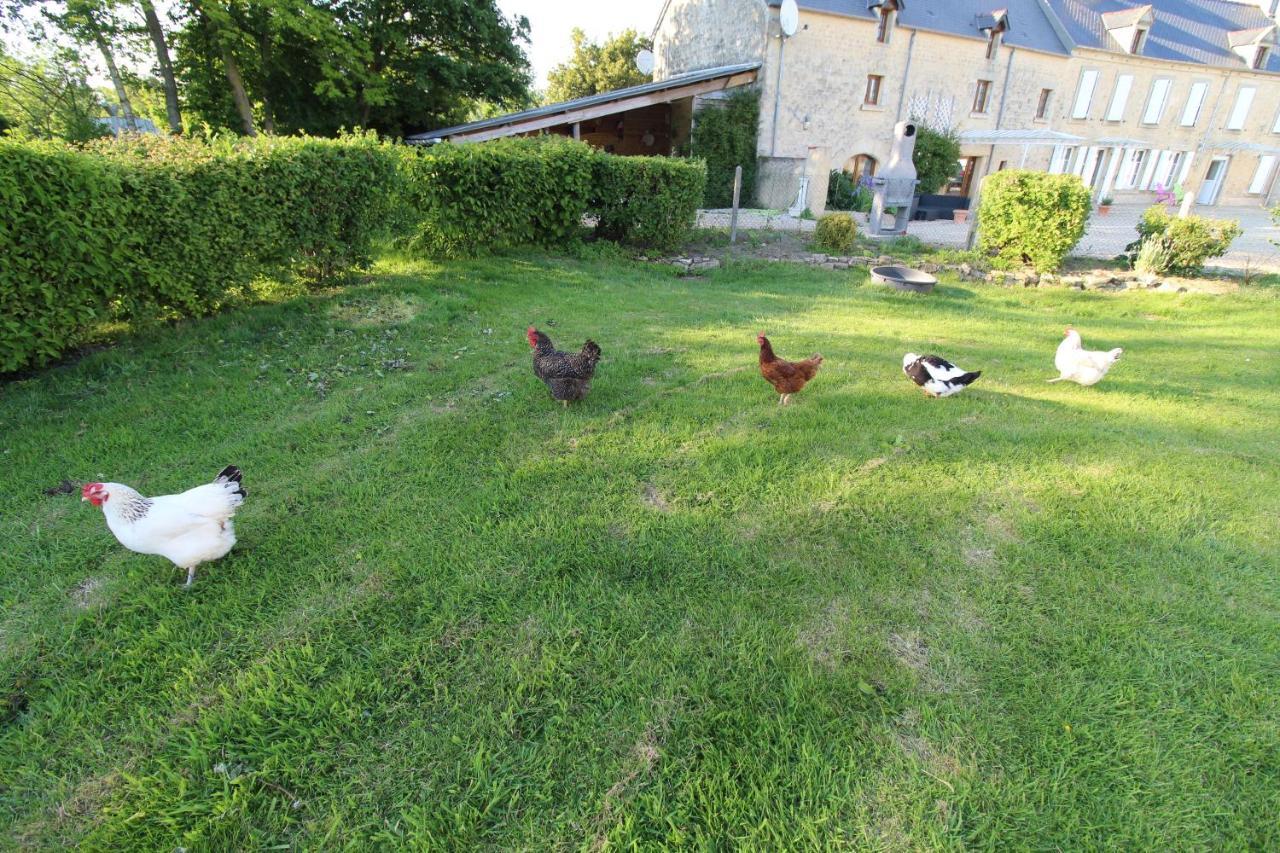 La Ferme Aux Chats Formigny Exterior foto